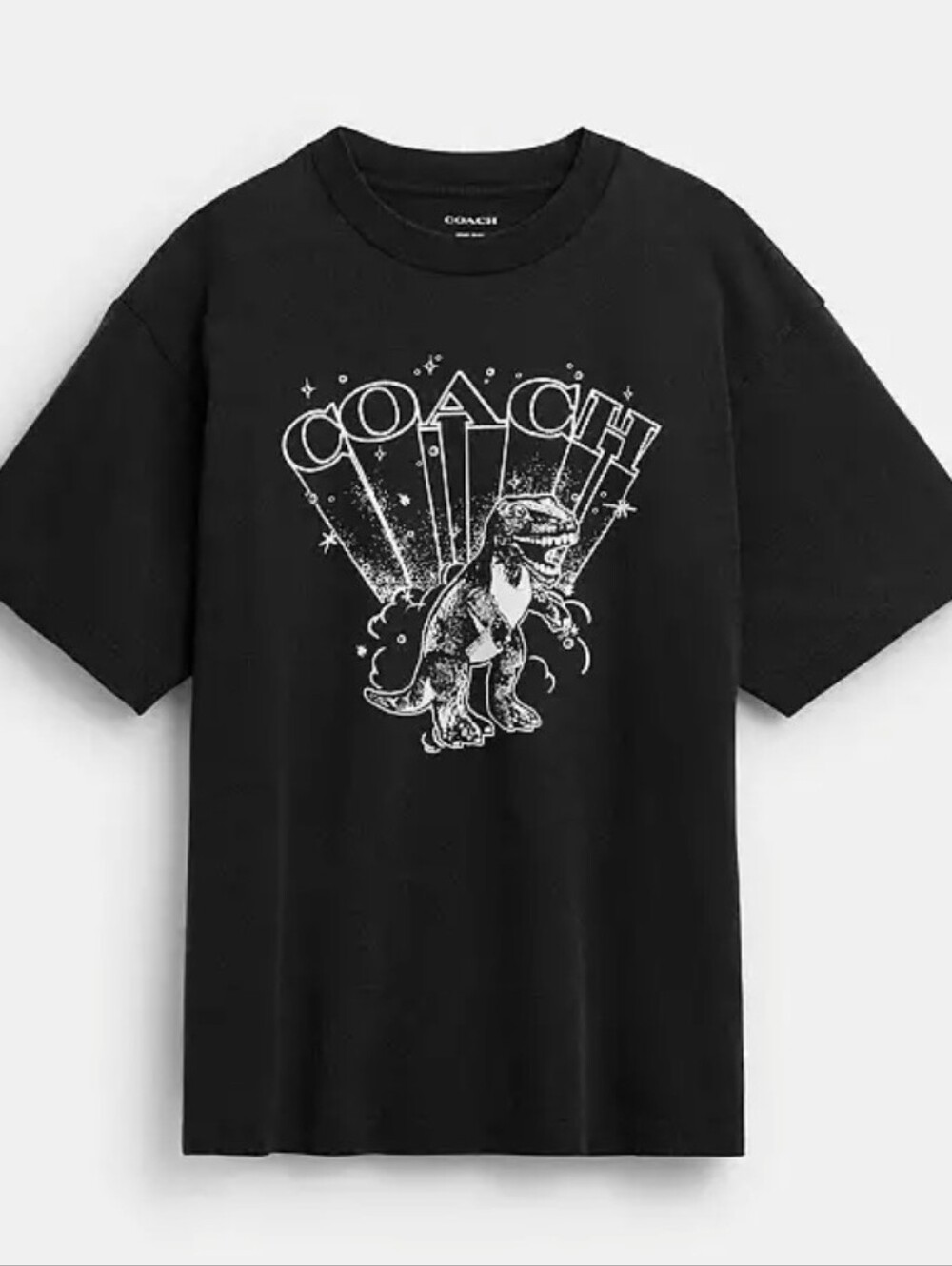 Coach T-Rex Relaxed T-Shirt NWT
